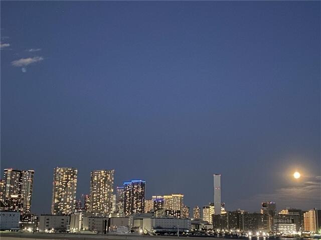 ローレルタワー ルネ浜松町 物件写真 3