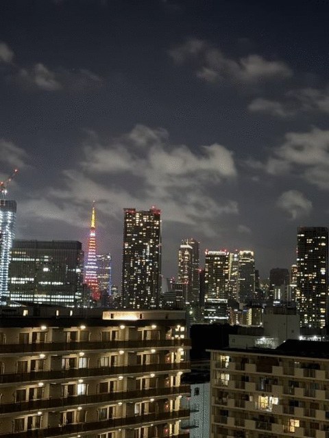 勝どきザ・タワー(カチドキザ・タワー) 部屋番号：1414 物件写真 7